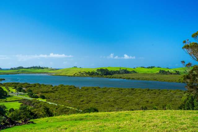 146 Beasley Road Pataua South_3