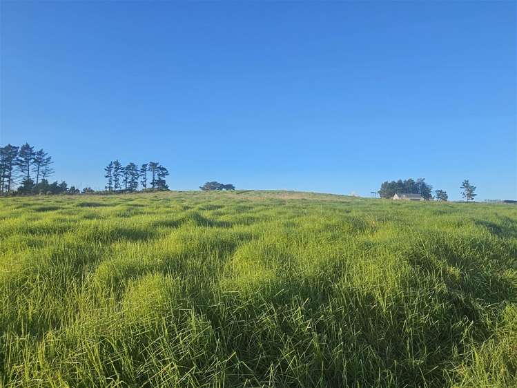 47 Matahehe Lane Tinopai_7