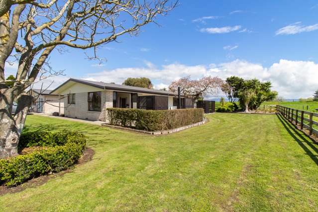 230 Hydro Road Edgecumbe_1