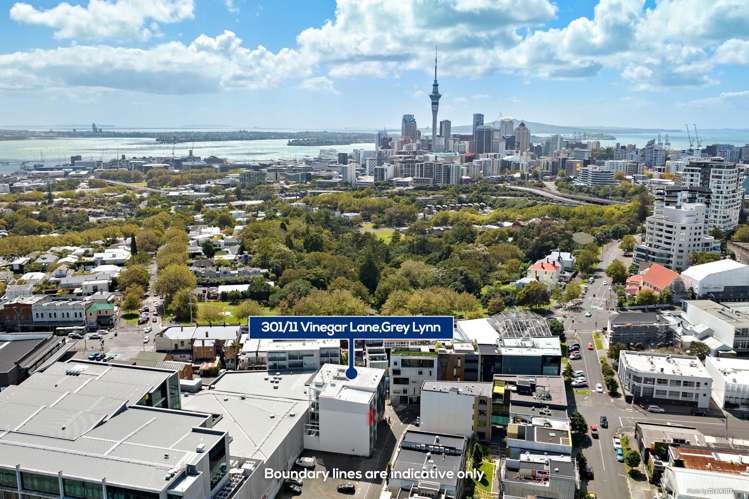301/11 Vinegar Lane Grey Lynn_6