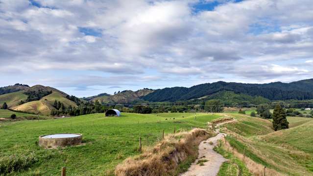 2140 State Highway 2, Nukuhou North Whakatane_4