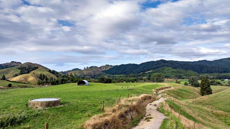 2140 State Highway 2, Nukuhou North Whakatane_4