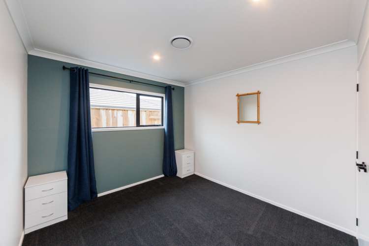 9 Monarch Drive Ashhurst_19