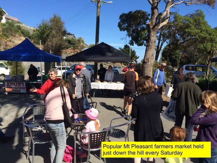 17 Rangatira Terrace Mount Pleasant_23