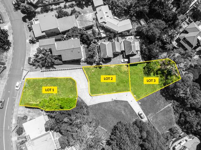 61 Ngapuhi Road Remuera_1