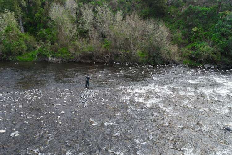 205 Te Rena Road Kakahi_25