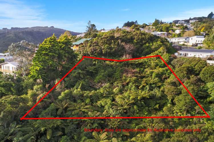 36 Lord Street Stokes Valley_6