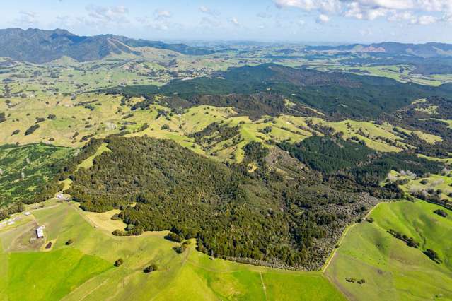 Nature and potential in Maungatapere