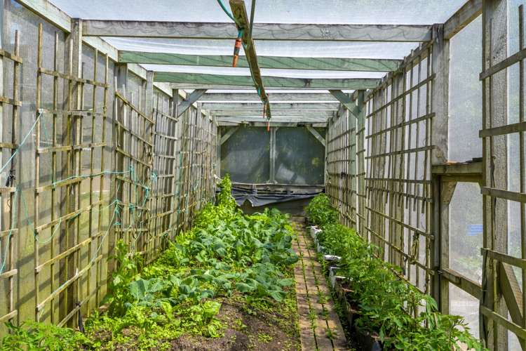 27 Ariesdale Terrace Toi Toi_14