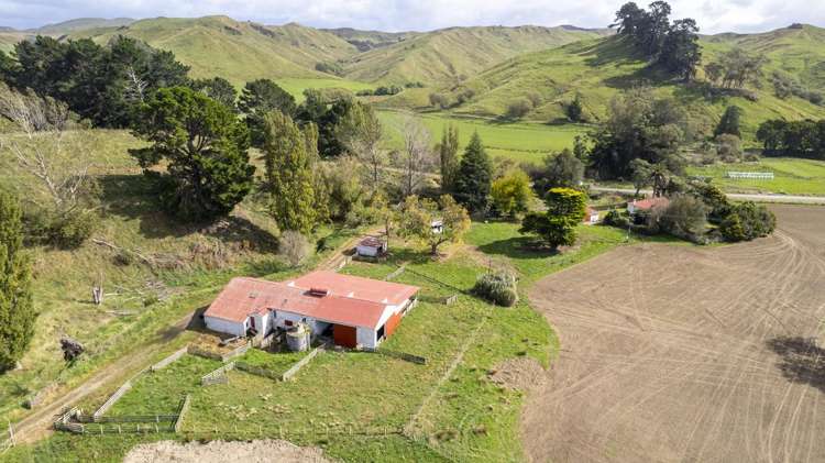 16451 Route 52 Masterton_17