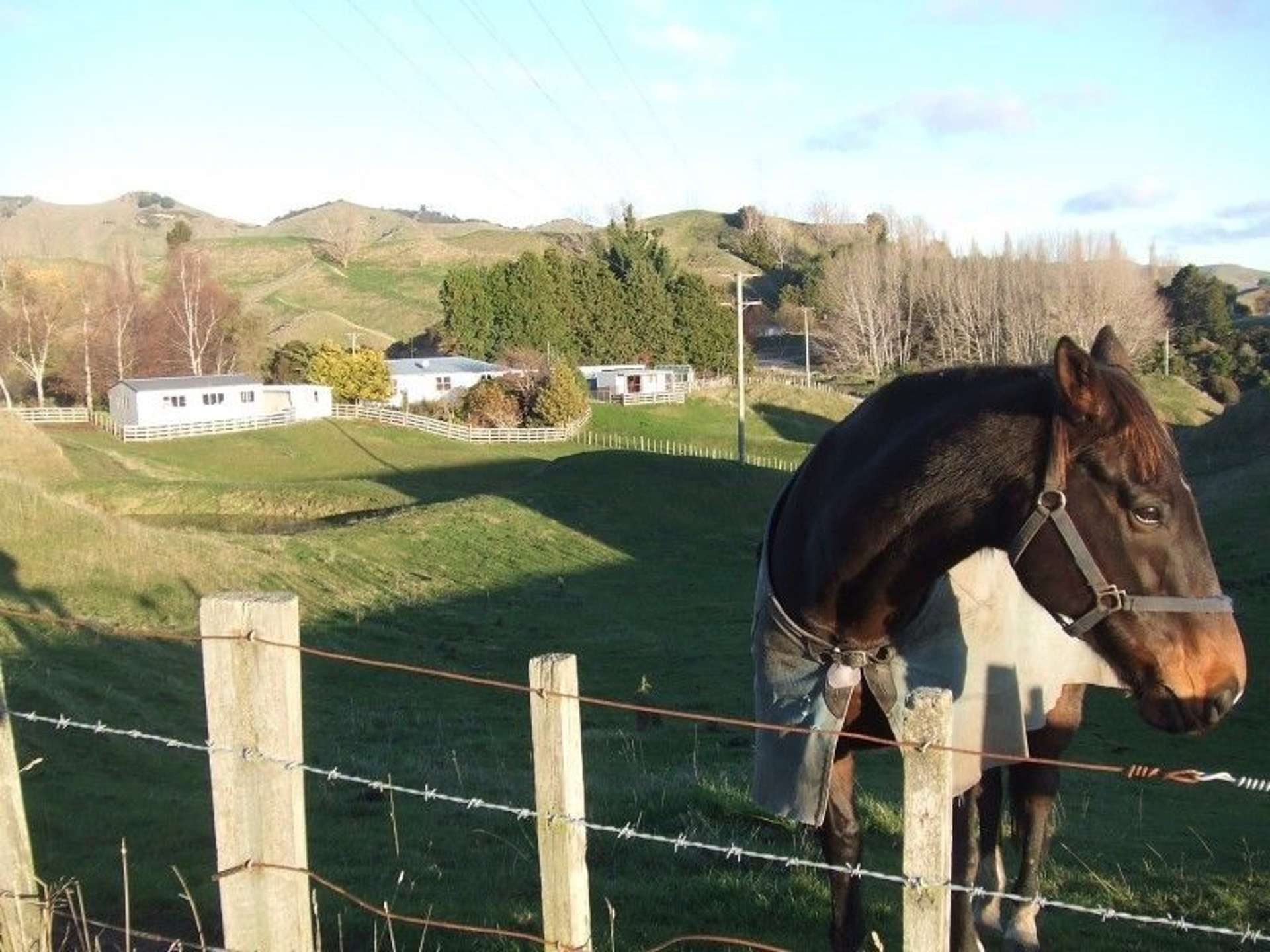 438 Rongoiti Road Taihape and Surrounds_0