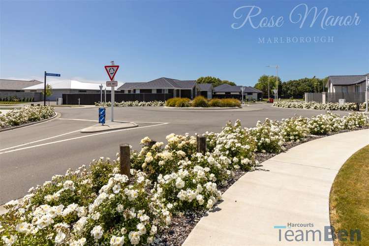 4 Bond Street, Rose Manor Springlands_6