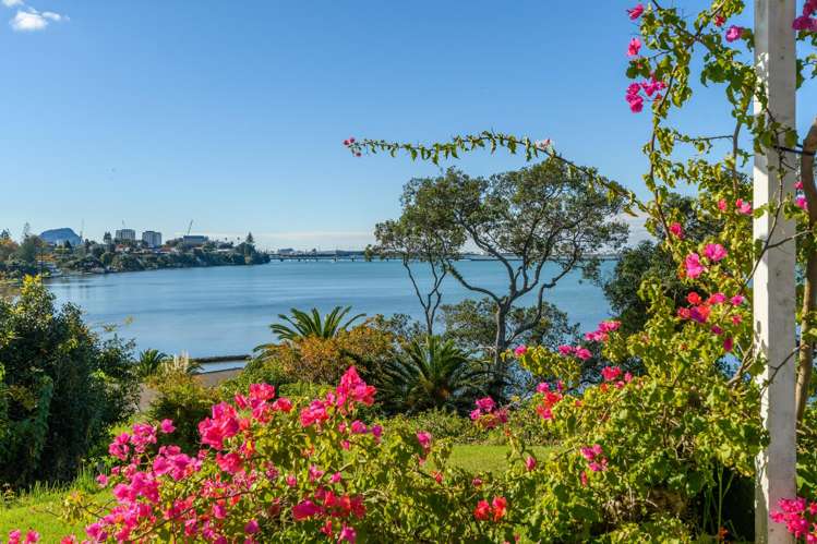 1 Eleventh Avenue Tauranga Central_7