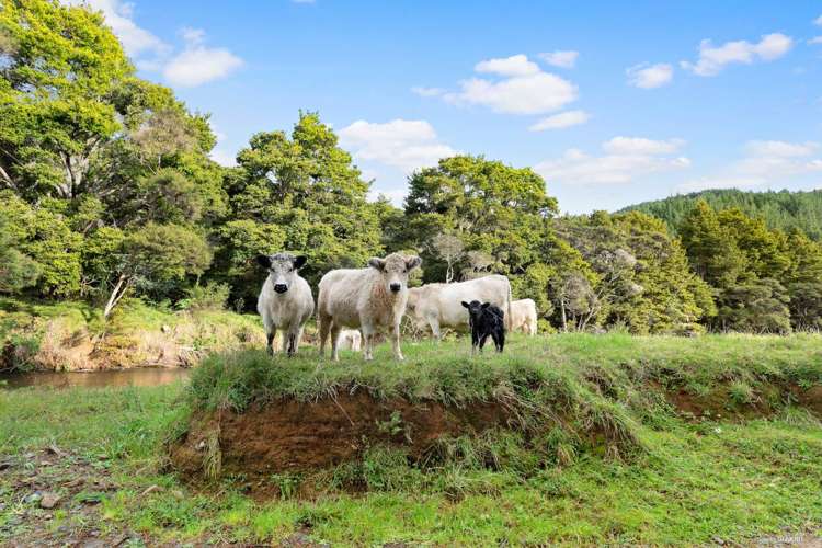 632 Sawyer Road Mangonui_25