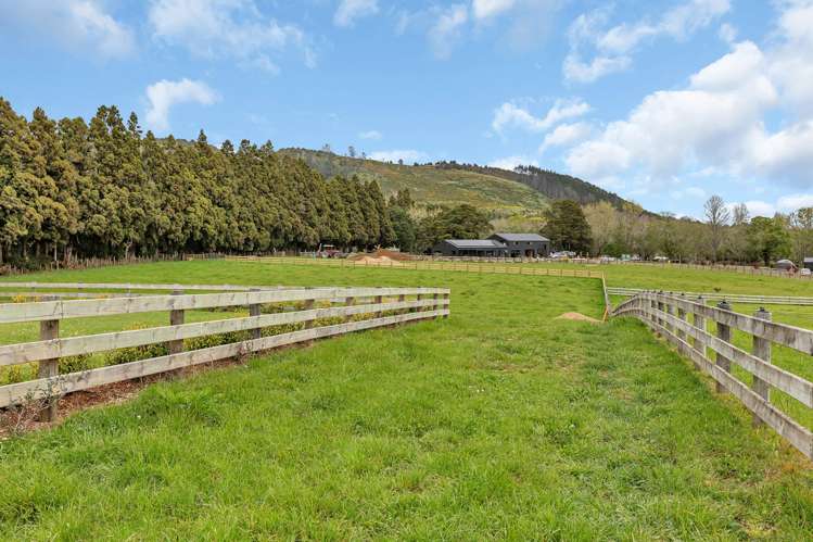 135 Apotu Road Kauri_11