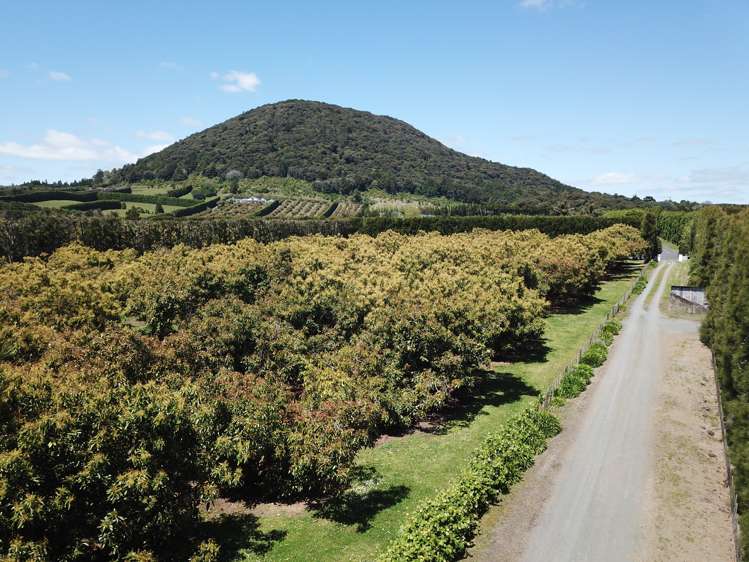 39 Watrous Downs Maungatapere_27