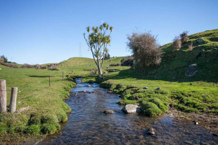 772 Oreipunga Road Cambridge_7