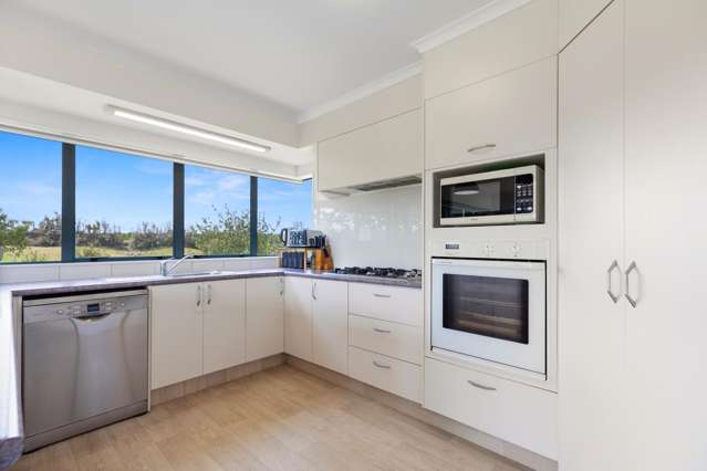 617 No 2 Road Te Puke_4