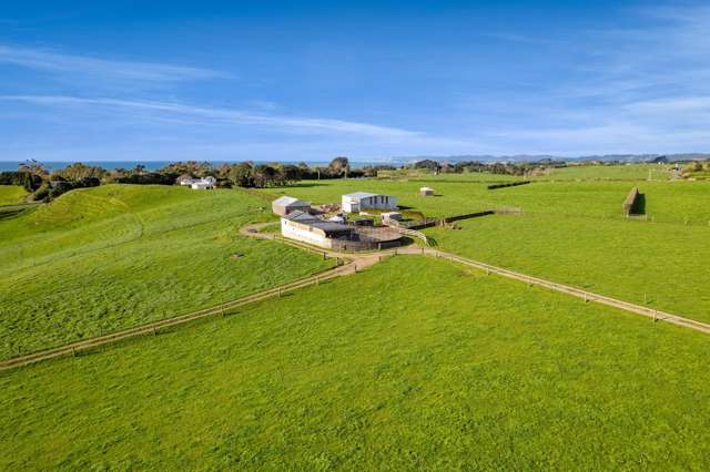 1028 Main North Road Onaero_1