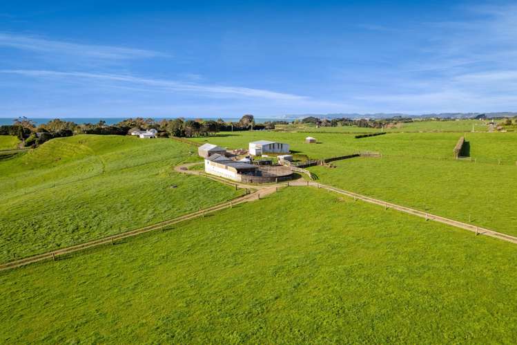 1028 Main North Road Onaero_1