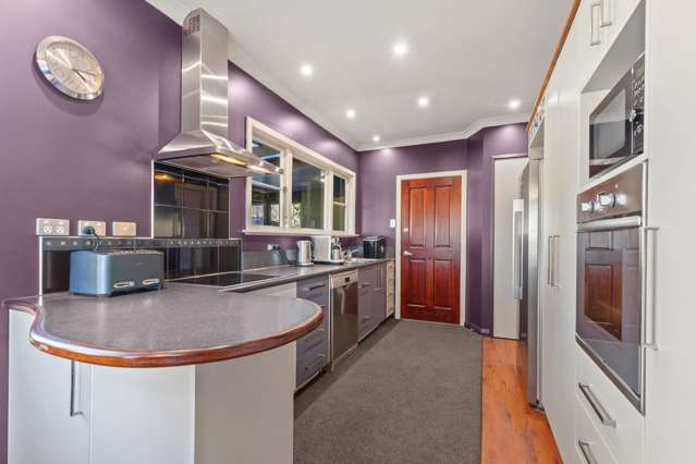 370 State Highway 57 Levin_3