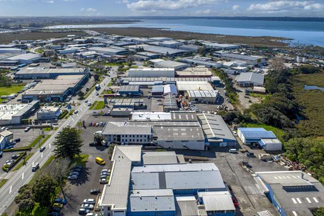 651 Rosebank Road Avondale_3