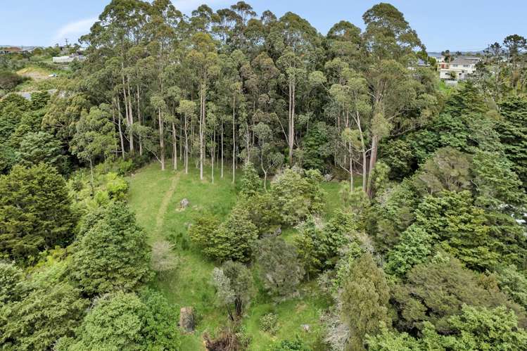 79 Grahamtown Road Onerahi_65