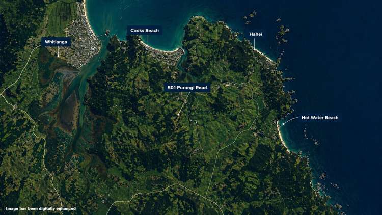 501 Purangi Road Purangi_7