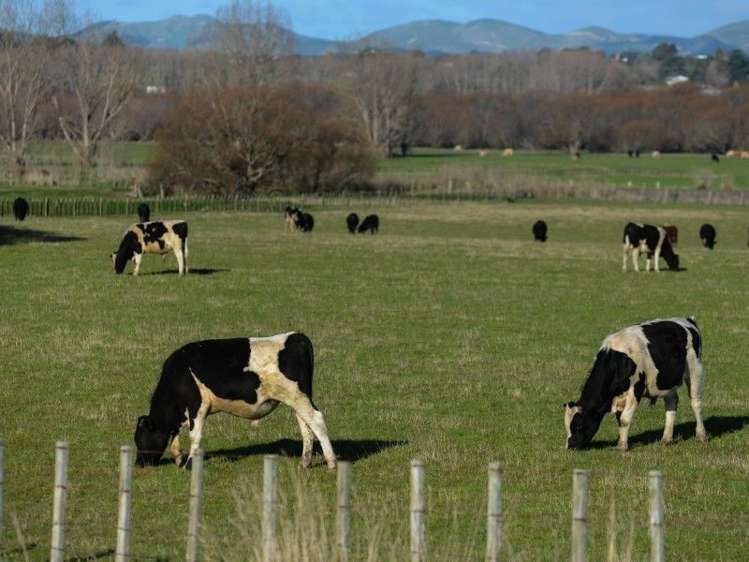 341 Hatuma Road Waipukurau and Surrounds_2