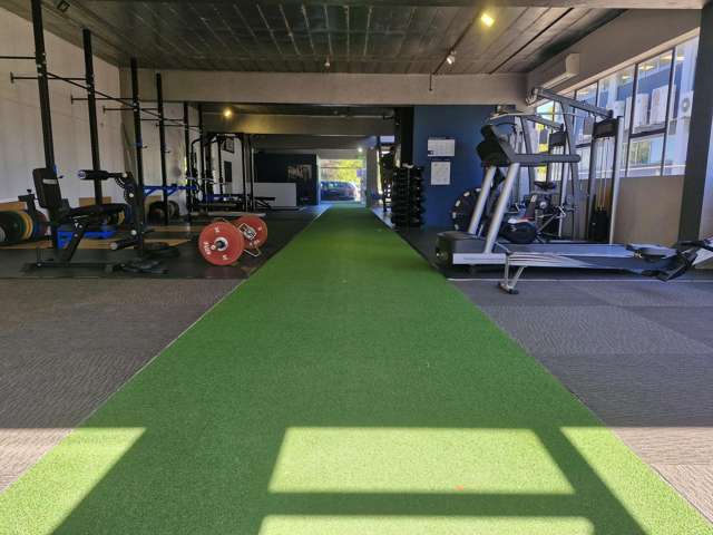 234 Tristram Street Central Hamilton Central_4