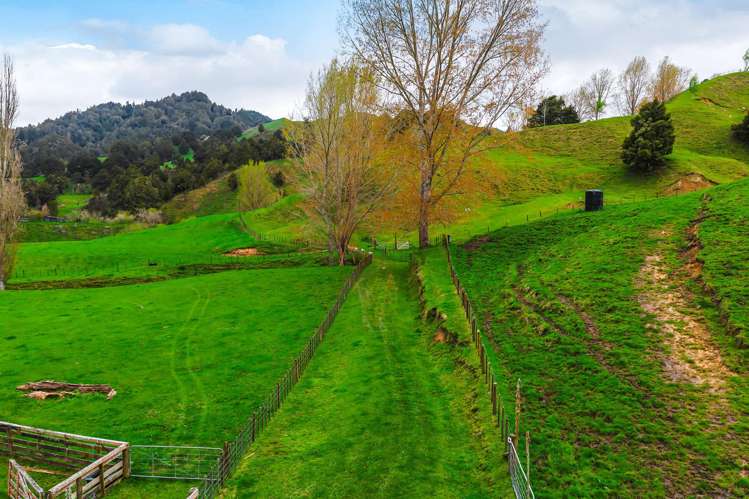 162 Okahukura Saddle Road Matiere_5