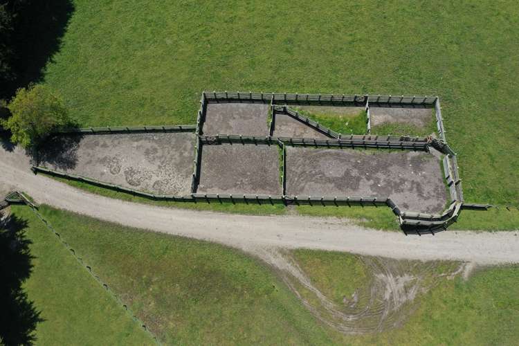 13151 Puketawa Road Tiraumea_13