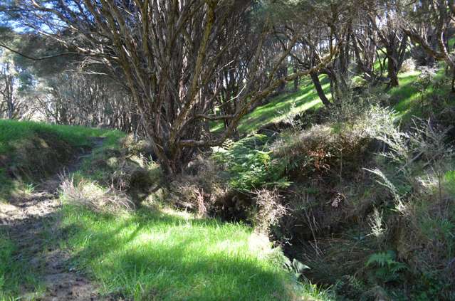 Mangapurupuru Road Bideford_3