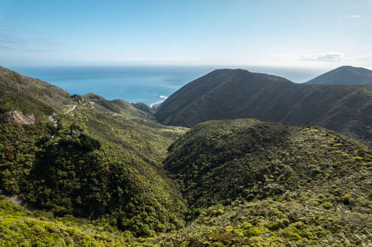 510 Southernthread Road Brooklyn_2