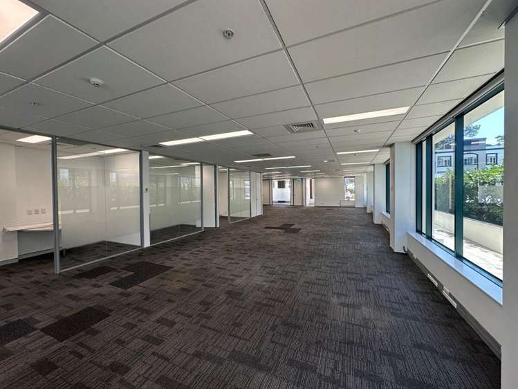 101 Carlton Gore Road Newmarket_3