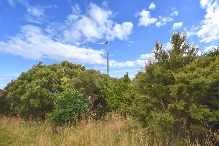 80 Purakaunui Road Mihiwaka_26