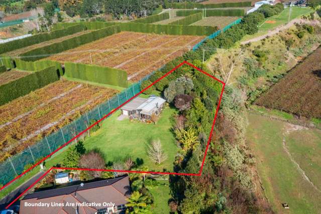 3 Donelle Place Te Puke_1