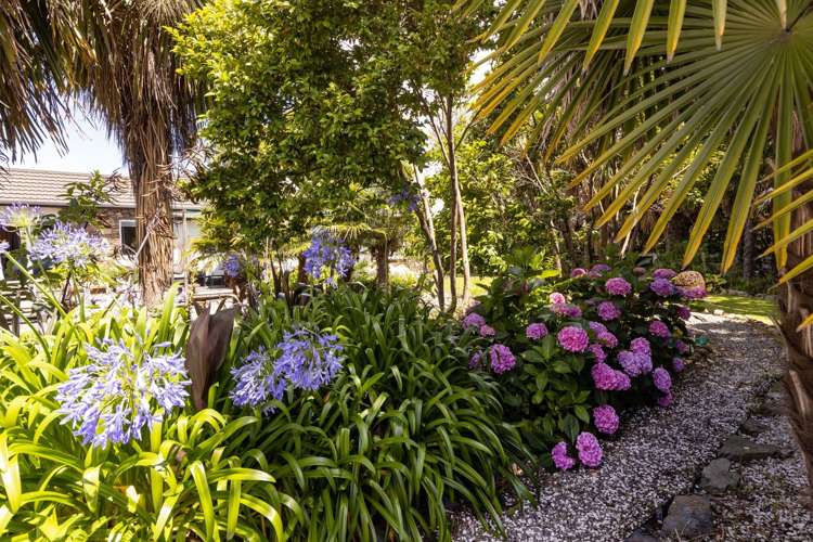 157b Middle Renwick Road Springlands_21