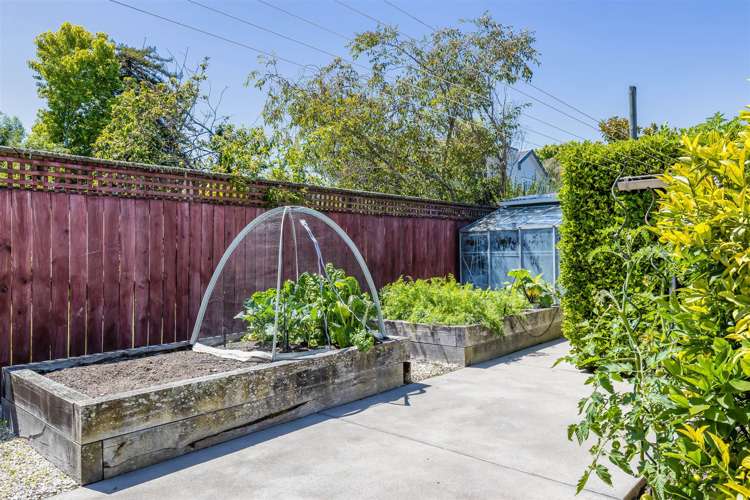 50 Hamilton Avenue Ilam_25