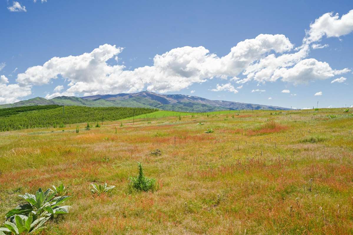 25 Northridge Road, Waikerikeri_2