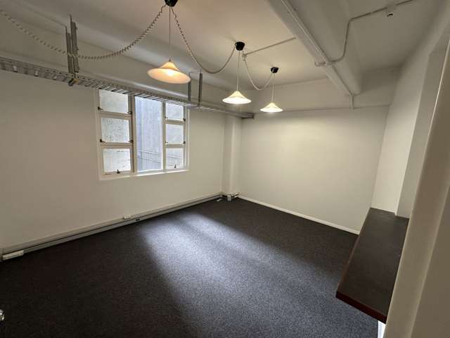 Level 1/185 Willis Street Te Aro_4