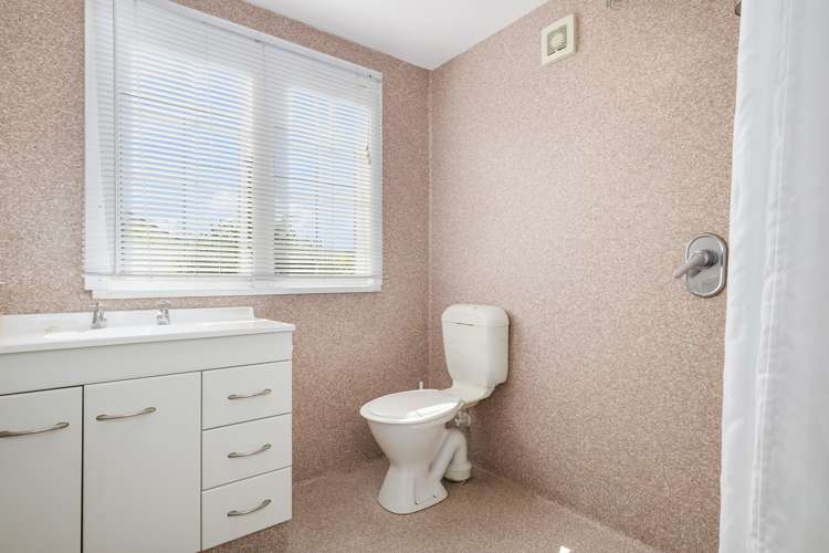 43 Park Street North Dunedin_21