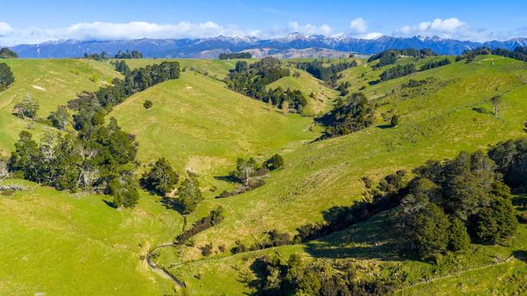 1139 Blackburn Road Ongaonga_7