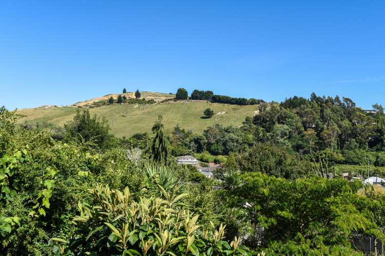 84 Campbell Street Nelson South_16