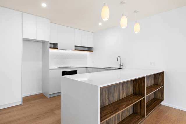 102b Auckland Road Greenmeadows_2