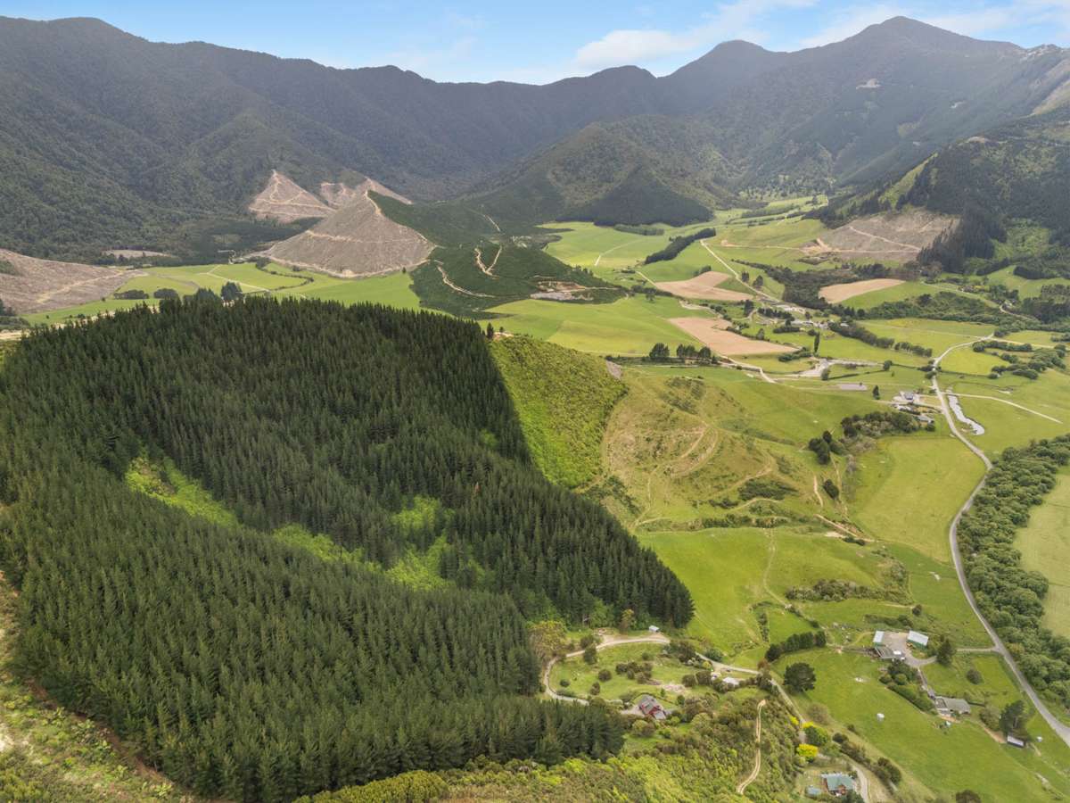 125 Kaiuma Bay Road_4