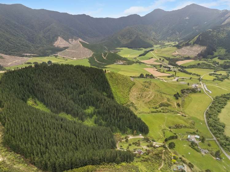 125 Kaiuma Bay Road Canvastown_8