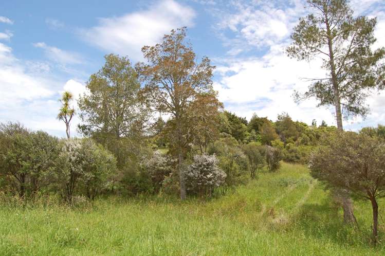 138 Rangiora Road Kaiwaka_10