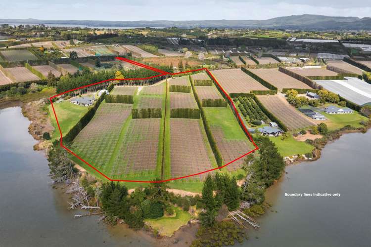 195A Tuapiro Road Katikati_23