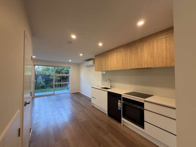 79 Selo Street Glen Eden_3